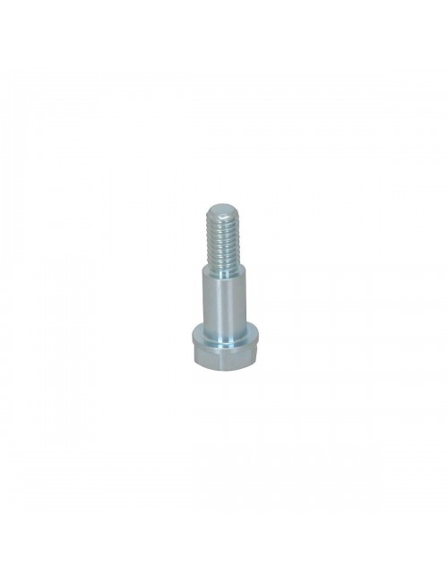 Tornillo M6-D8 L.12,2mm para el disco de freno flotante de MagickArt trasero