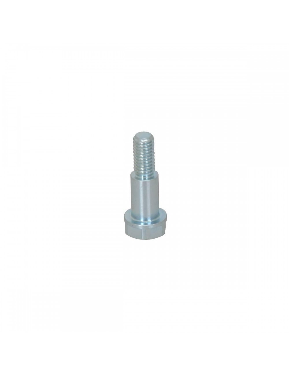 M6-D8 L.12,2mm screw for rear-magickart floating brake disc