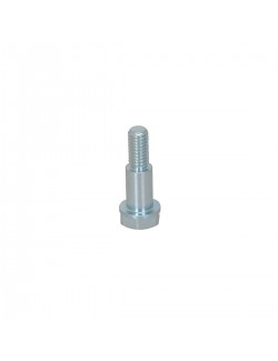 M6-D8 L.12,2mm screw for rear-magickart floating brake disc