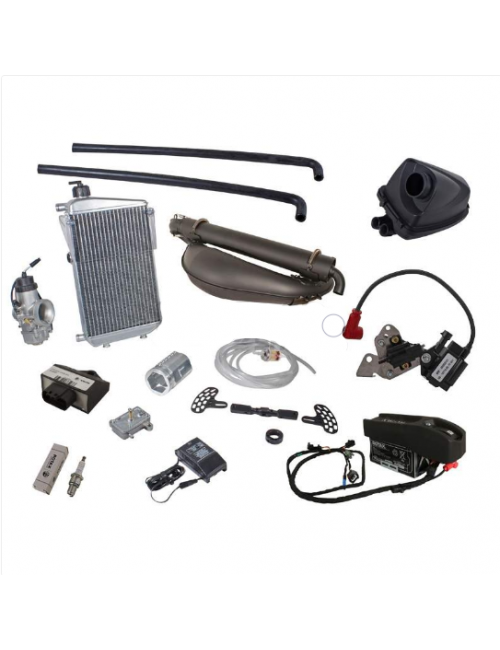 Rotax el 125 max-dd2 -magickart