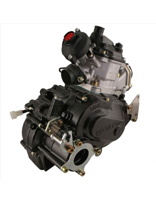 Rotax el 125 max-dd2 -magickart