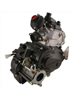 Rotax el 125 max-dd2 -magickart