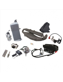 ROTAX 125 MAX EVO