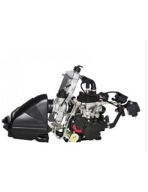 ROTAX 125 MAX EVO