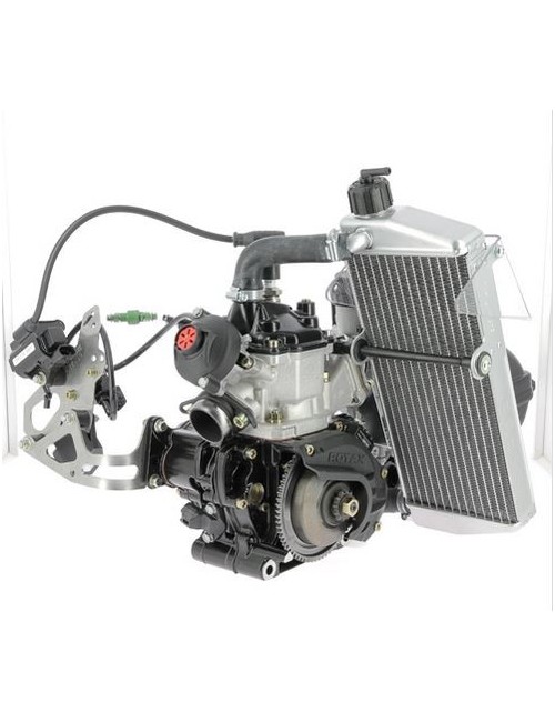ROTAX 125 MAX EVO