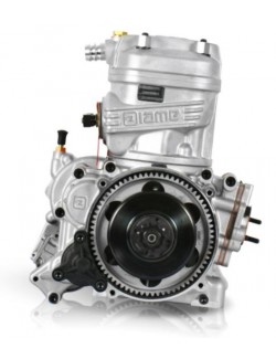 Engine Iame X30 SENIOR - 125 -Magickart