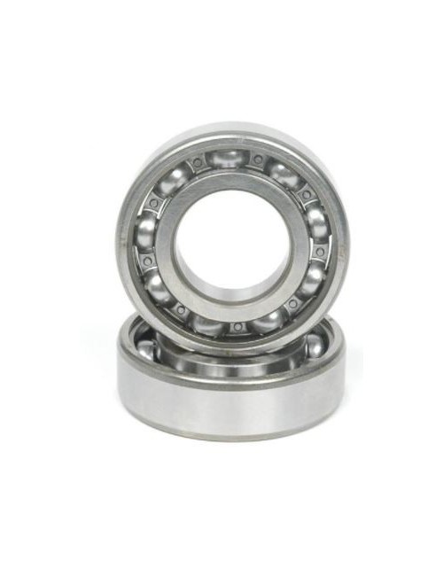 Rodamiento SKF 6205 C4