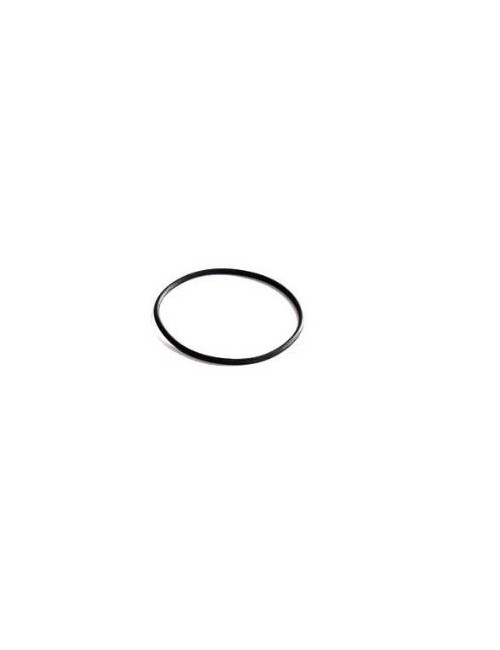 O-Ring-Zylinderkopf-kleiner Durchmesser IAME X30 - Origin-Magickart