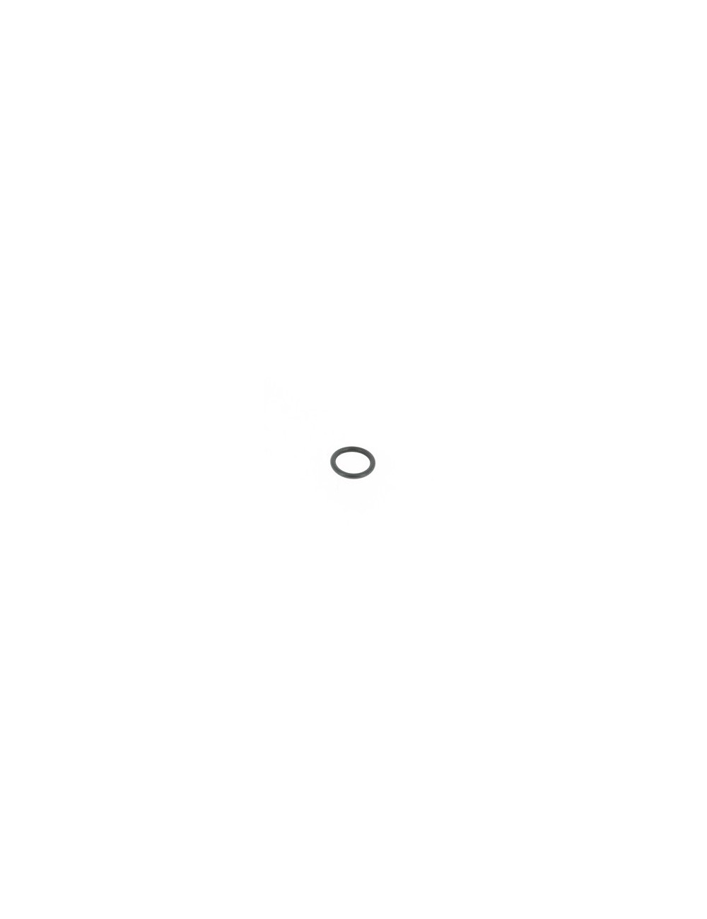 IAME X30 O-Ring Clutch X30 AP.2015 -MagickArt