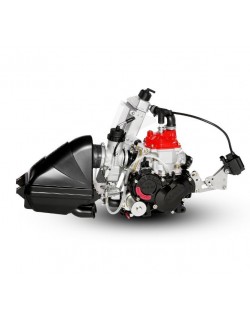 Motor Rotax 125 Junior Max Evo -Magickart