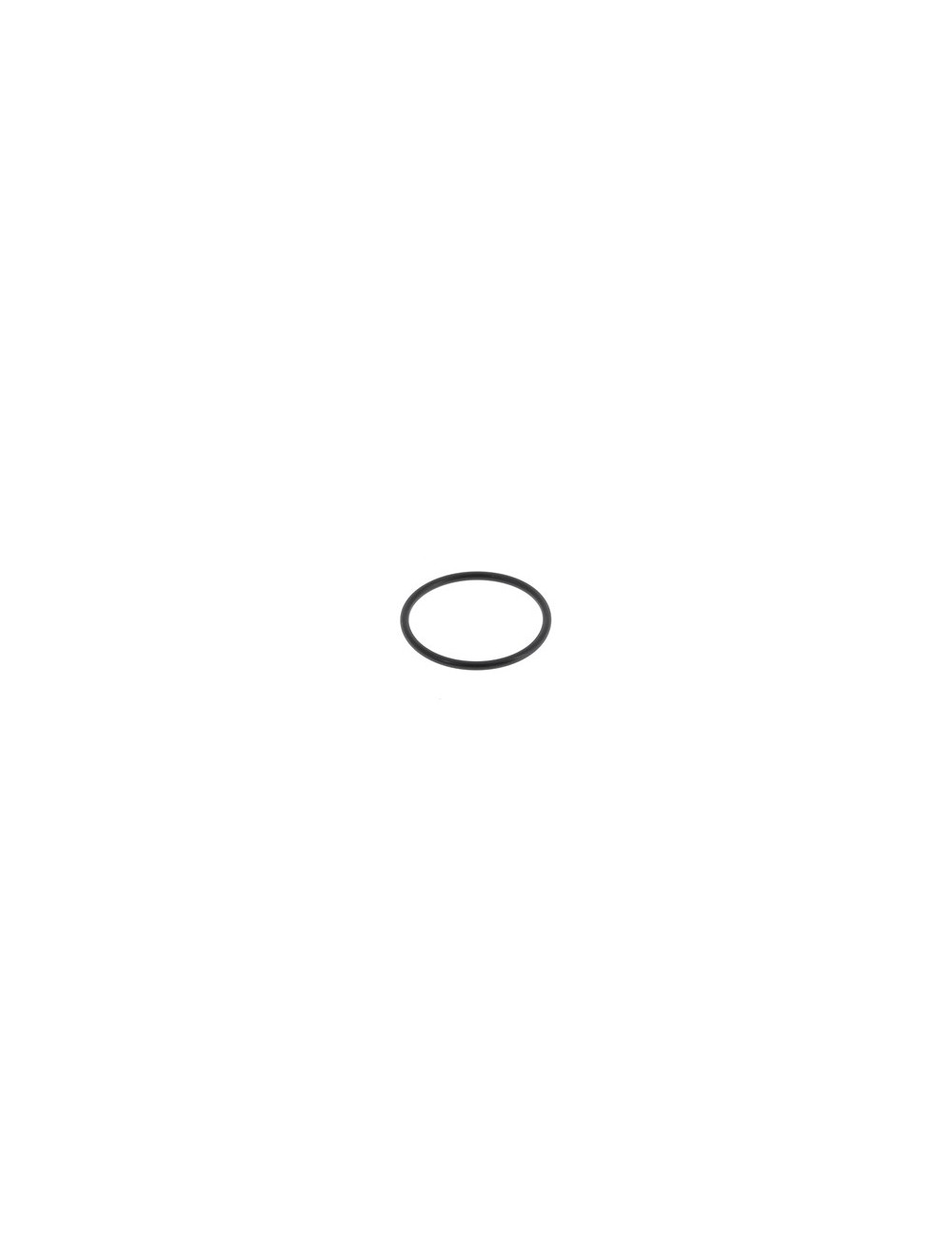 (18) O'Ring Supporto frizione TM