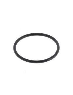 (18) TM-Kupplungsstützring O'ring