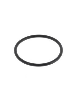 (18) O'Ring Clutch Support TM