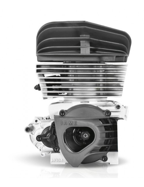 IAME KA100 Tag Motor Kit Iame Reed Jet zum besten Preis bei Magikart