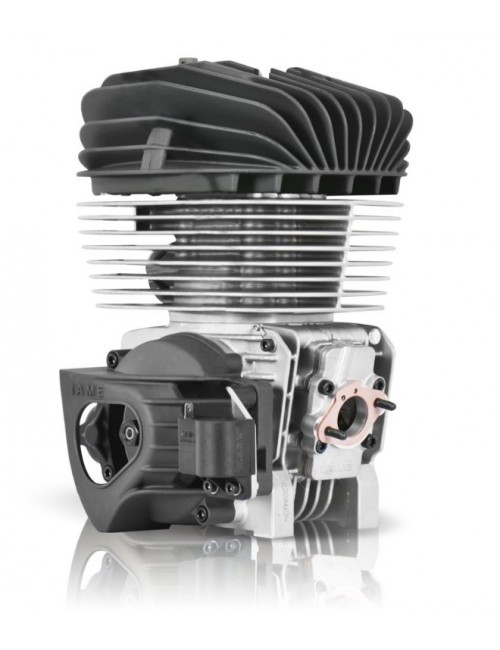 Iame KA100 Tag Engine Kit Iame Reed Jet at the best price at Magikart