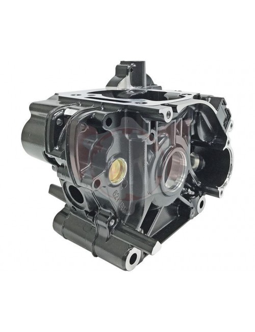 carter Engine-Full-Black-Rotax-Max-Evo-After-2014-Magickart