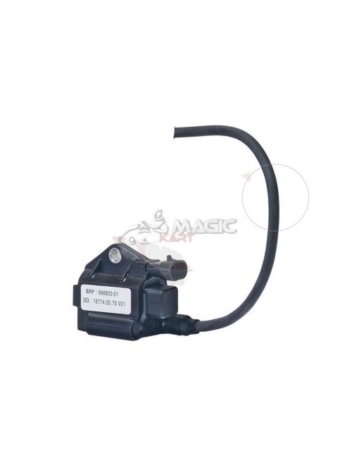 Electronic case coil Rotax Max Evo - Part Origin-Magickart