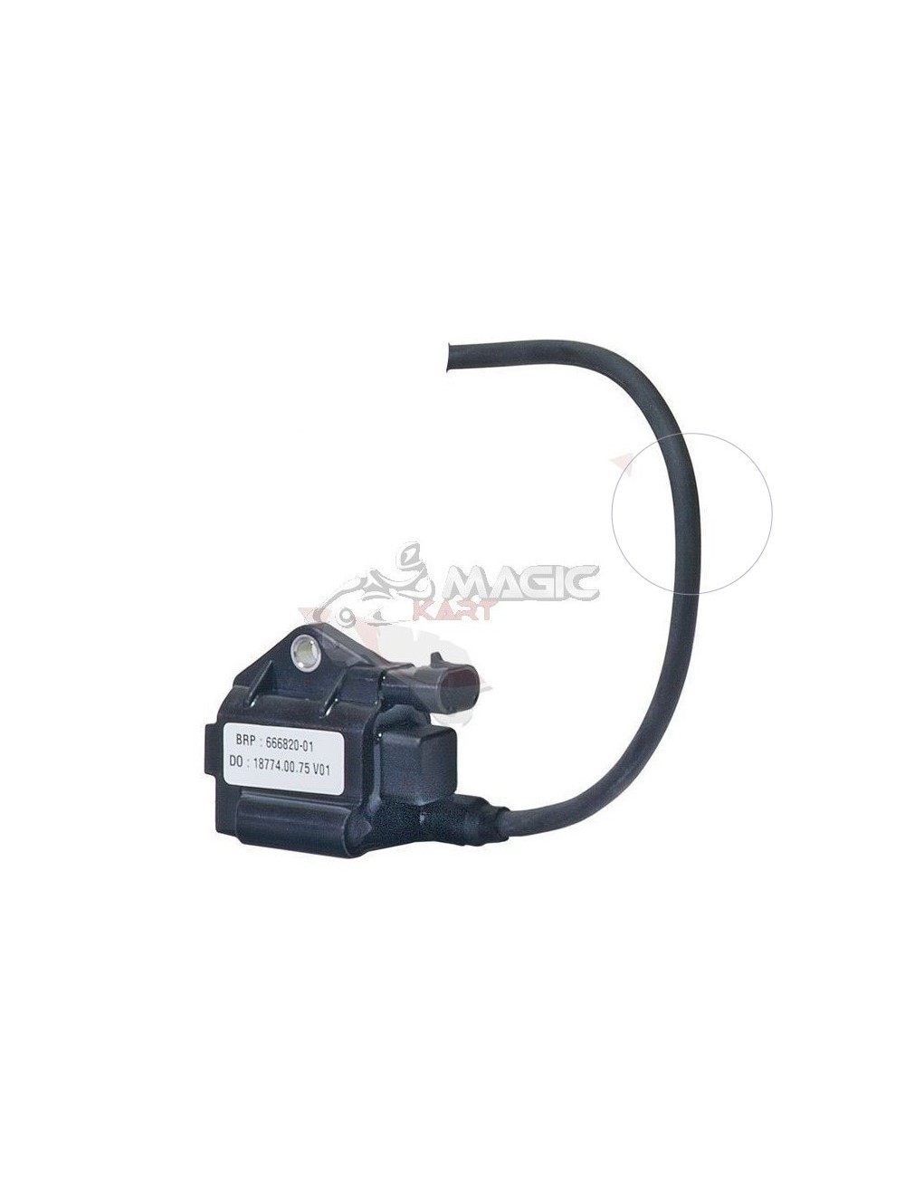Electronic case coil Rotax Max Evo - Part Origin-Magickart