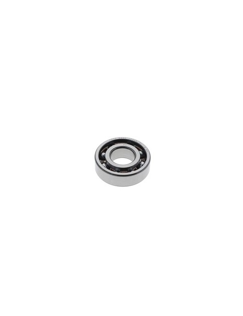 38-bearing 6204 TN9...