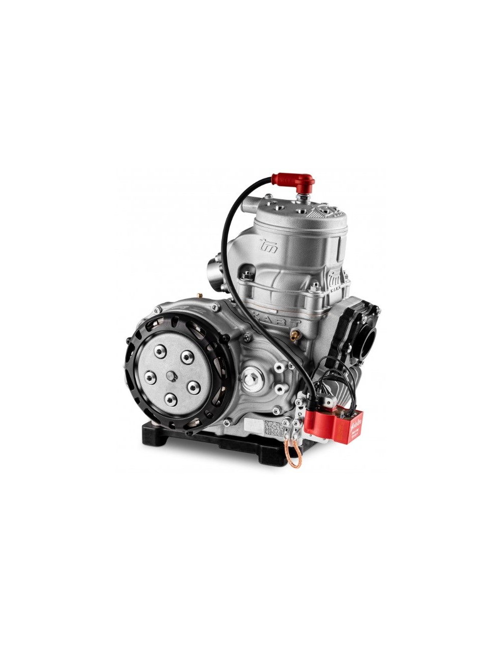 TM KZ R2 Standard Motor- Magickart