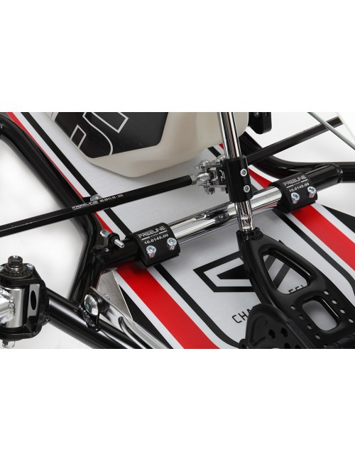 Charles Leclerc CL30-S19...