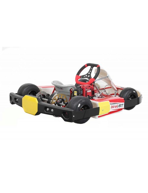 Posizione del baby kart Birel