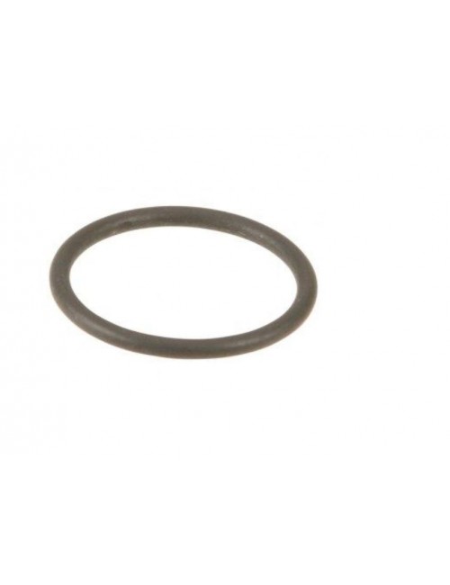O-Ring-Birelart-Bremspumpe
