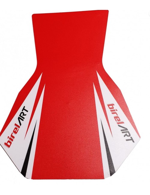 ADESIVO PIANALE R S16 BIREL...