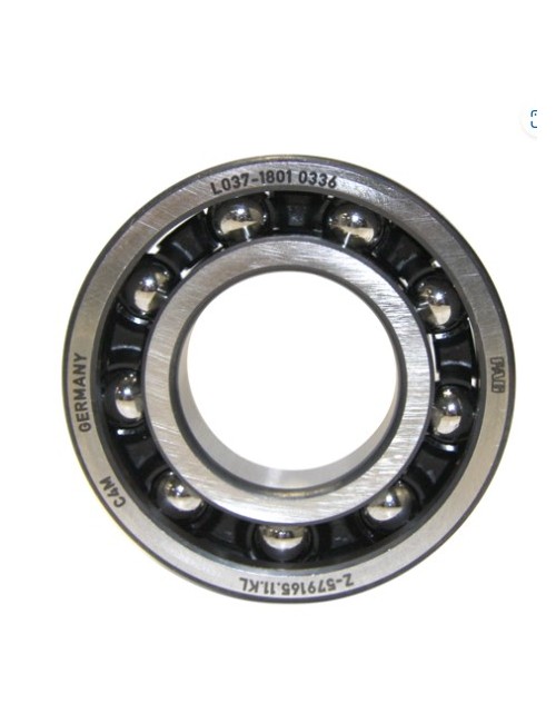 FAG 6206 ROTAX-MAGICKART CAUBLO DE CIRANDO