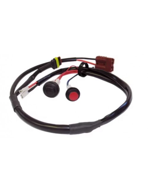 Giamieme ELECTRIC TRAVOLE...