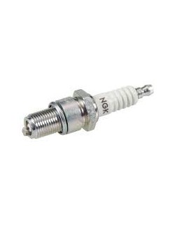 NGK B10EG Candle - Magickcart