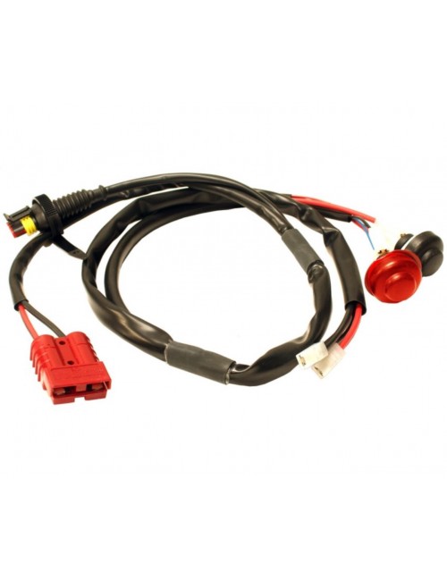 Electronic beam wiring for...