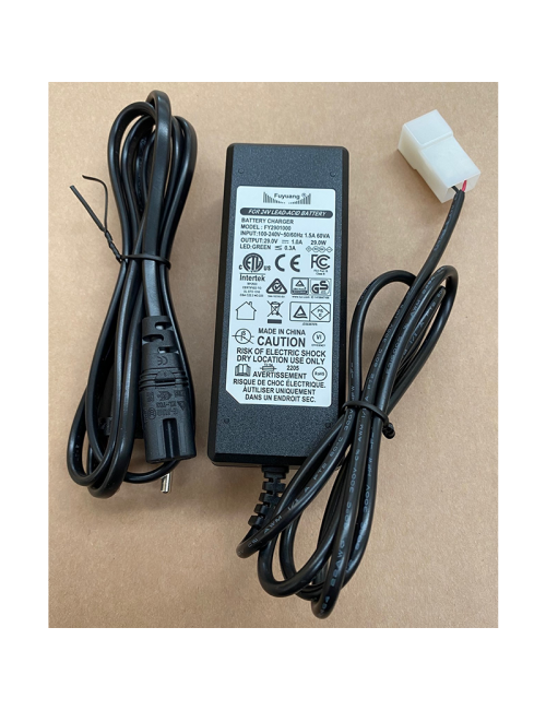 Charger 24V Trolley Dalmi-Magickart