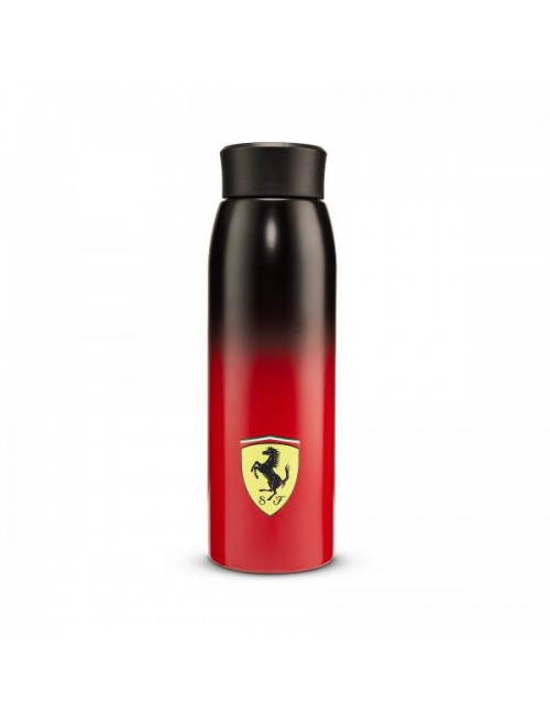 Kürbis Ferrari