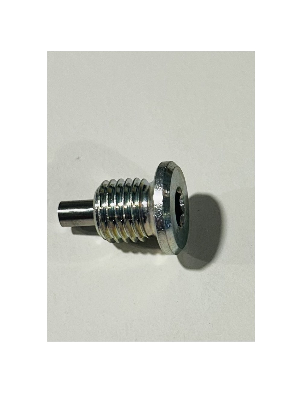 (28) Rotax ROTAX 125 DD2 EVO Magnetic screw M12x1.6 -magickart