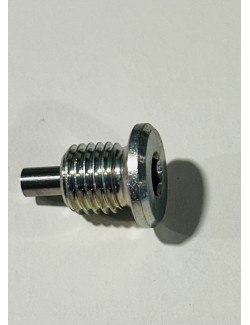 (28) Rotax ROTAX 125 DD2 EVO Magnetic screw M12x1.6 -magickart