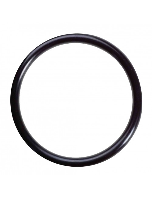 (31a) ROTAX plug gasket