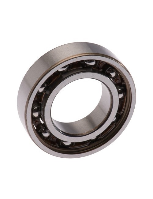 Rotax Tree Bearing 6005 TNH C3 25x4 