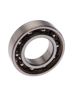 Rotax Tree Bearing 6005 TNH C3 25x4 