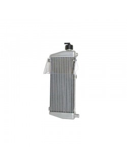 Radiateur avec bouchon MAX depuis 2011 Rotax-promotion Magcikart