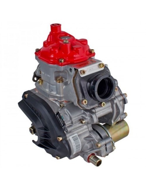 Moteur nu 125 MAX EVO