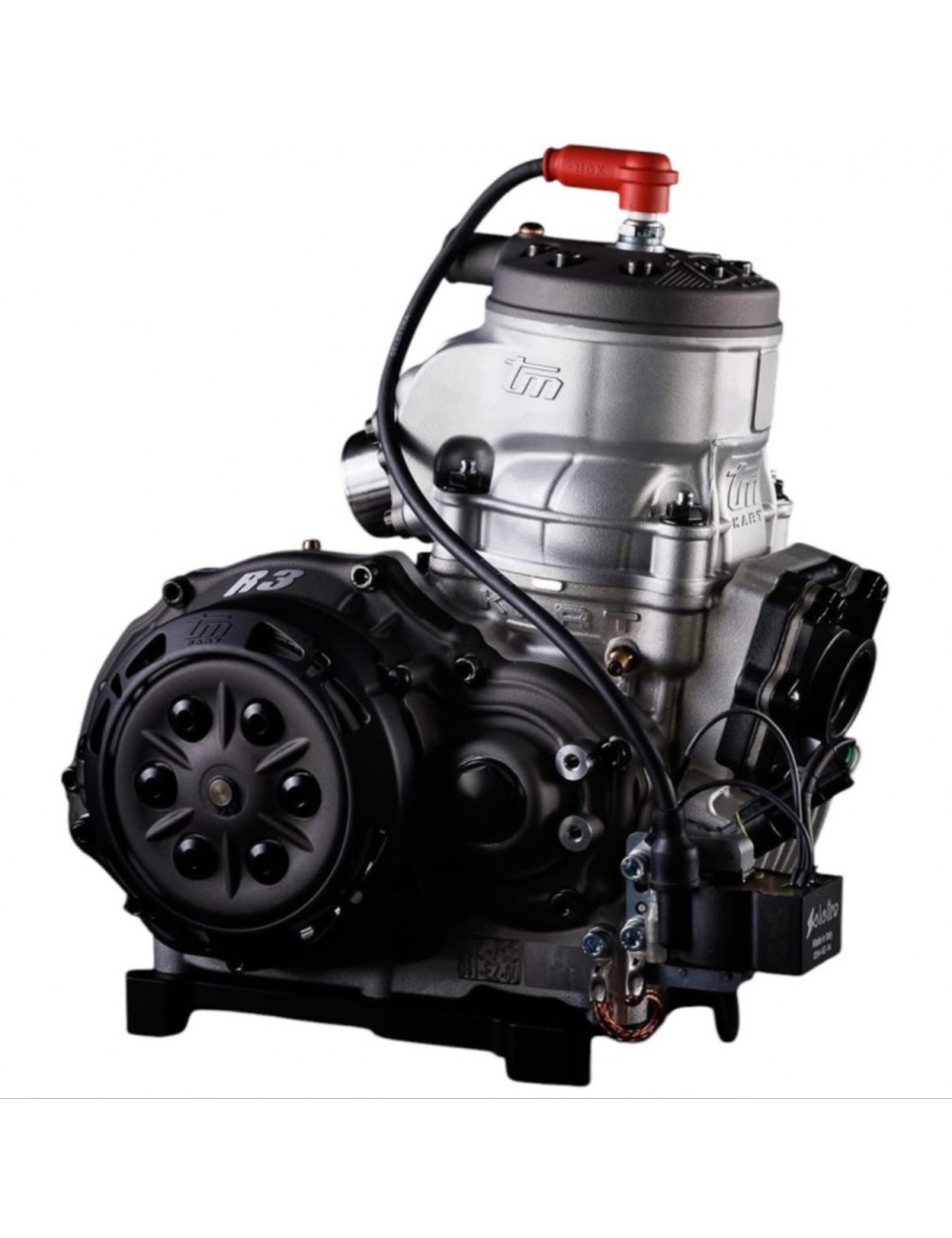 Motor TM Kart completo KZ R3 -MagickArt