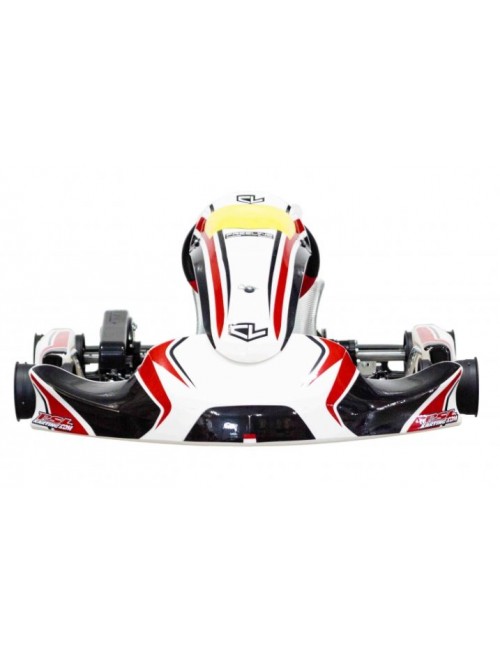 mINI S19 chasis Charles...