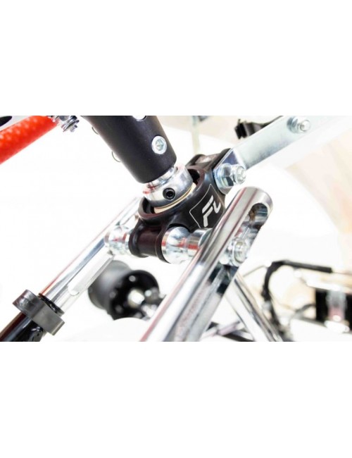 mINI S19 chassis Charles...