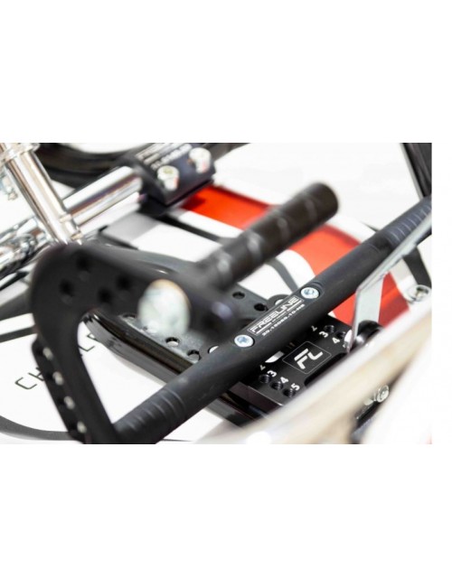 cassa MINI S19 Charles...