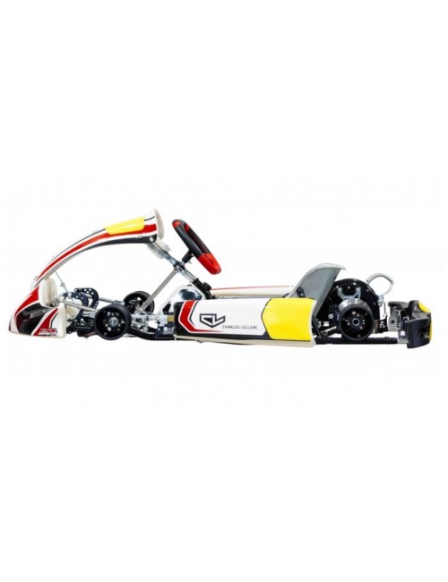 mINI S19 chassis Charles...