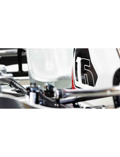 mINI S19 chasis Charles...