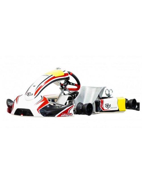 mINI S19 chassis Charles...