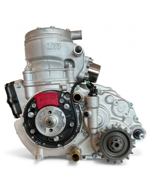 TM KZ R3 Standard-MagickART-Motor