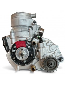 TM KZ R3 Standard-MagickART-Motor